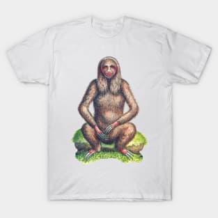 sloth cartoon naturalists vintage T-Shirt